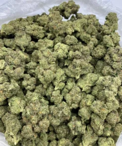 Biscotti Strain