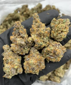 Blue Dream Strain premium cannabis flower with frosty trichomes and bright green buds.
