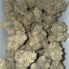 Premium Biscotti 41 cannabis flower featuring dense frosty buds with orange pistils and rich trichome coverage.