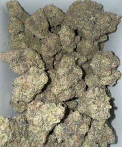 Premium Biscotti 41 cannabis flower featuring dense frosty buds with orange pistils and rich trichome coverage.